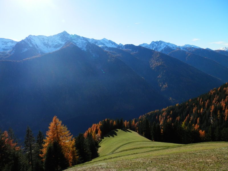 Aussicht vom Hof